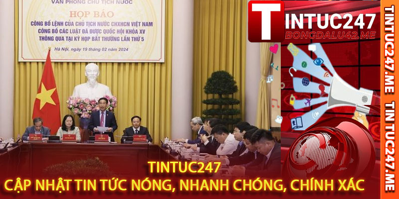 Tintuc247