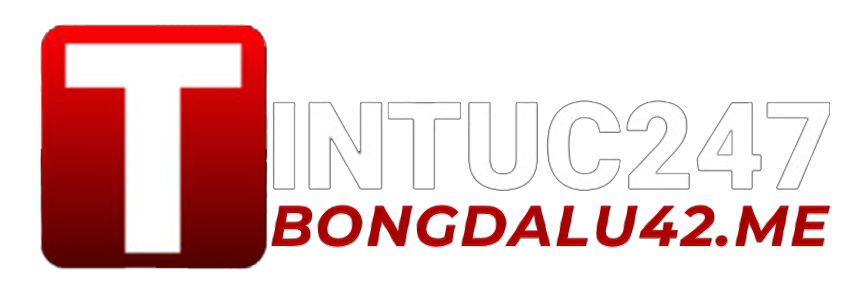 tintuc247