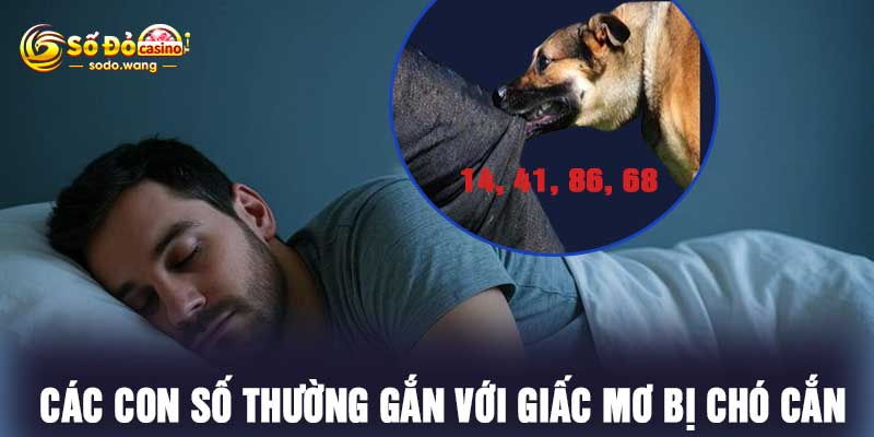 Các con số thường Gắn Với Giấc mơ bị chó cắn