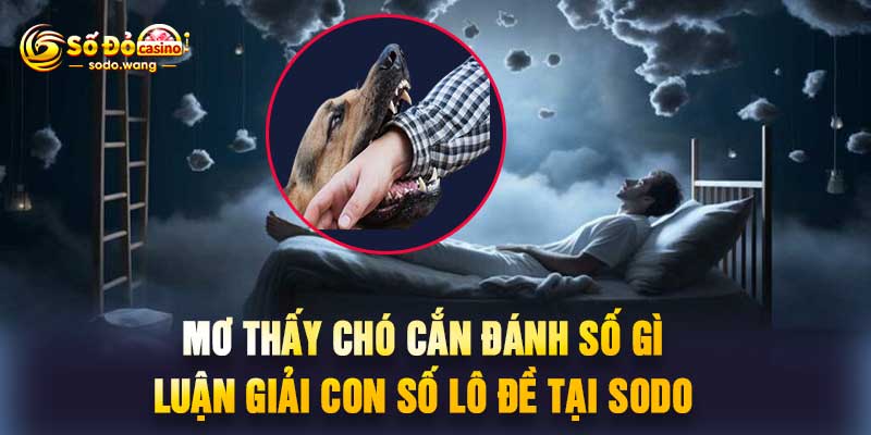 Mơ Thấy Chó Cắn Đánh Số Gì Luận Giải Con Số Lô Đề Tại Sodo